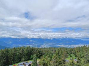 Appart'hotels Residence l'Ecrin des Neiges : photos des chambres