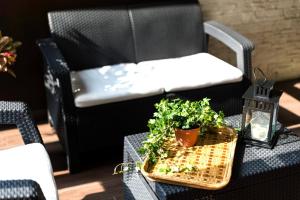 Giotto - Lovely & Central