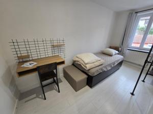 Appartements Logement entier 35m2 avec wifi - 2chambres - renove - hypercentre Foix : photos des chambres