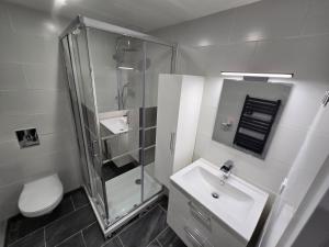 Appartements Logement entier 35m2 avec wifi - 2chambres - renove - hypercentre Foix : photos des chambres