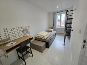Appartements Logement entier 35m2 avec wifi - 2chambres - renove - hypercentre Foix : photos des chambres