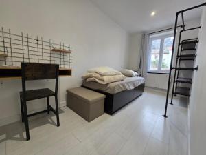 Appartements Logement entier 35m2 avec wifi - 2chambres - renove - hypercentre Foix : photos des chambres