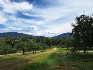 Bed & Breakfast Grünes Gold am Leisberg