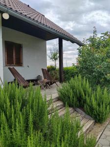Apartma Puša 