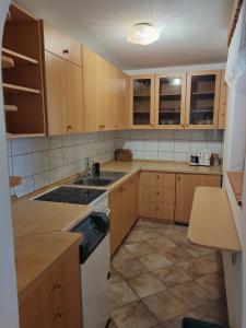 Apartma Puša 