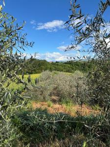 Agriturismo a casa di Toni