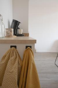 Appartements Joli studio chaleureux dans le centre de Bazas : photos des chambres