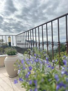 Hotels Hotel Villa Les Orangers : photos des chambres