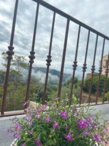 Hôtel Villa Les Orangers