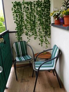 Apartament na podgórzynskiej