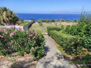 Bellavista Apartments