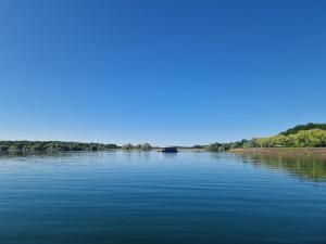 Bateau panoramique sans permis Lac du Der - Nemours