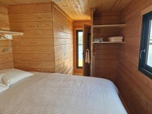 Bateau panoramique sans permis Lac du Der - Nemours