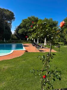Villa Mucellena