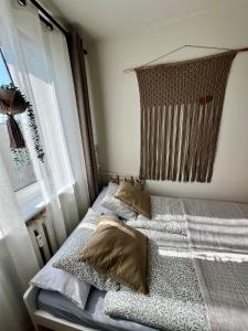 Mieszkanko w centrum