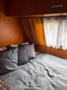 Glamping de Cerveira