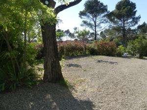 Villas Les Olicias : photos des chambres