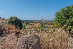 Il Sughereto In Vigna