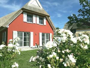 Ferienhaus Strandhafer - im Schwalzkiefernwald zwischen Ostsee und Bodden