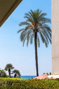 Appartements 2 Pieces Bord de Mer avec Jardin : photos des chambres