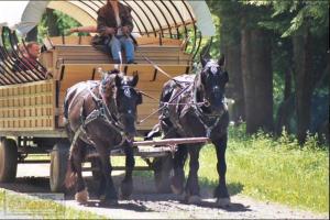 Rv Site 50amp Back-in up to 34Ft