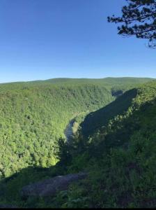 Rv Site 50amp Back-in up to 34Ft