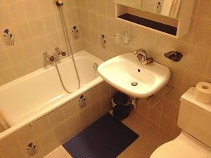 Bel Alp 2 Appartement avec jardin Evolene