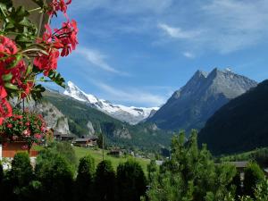Bel Alp 2 Appartement avec jardin Evolene