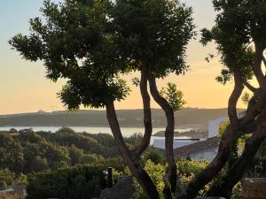 I Giardini di Porto Cervo 128 Costa Smeralda