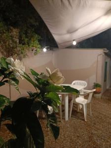 Casa Margherita Castiglioncello