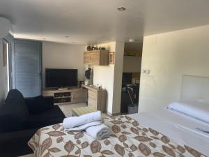 Apartamento Estudio Toni Rafol de Almunia LOCDENIA