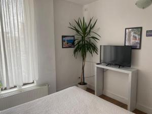 Lovely Apartment in Villa in Bucharest