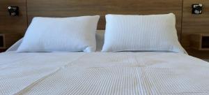 Neptuno - Centrico y Completo