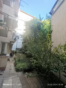 Stylish Gem, top center!