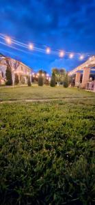 Garden Pypa