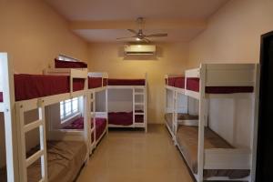 Arabian Pearl Beach Resort Cherai