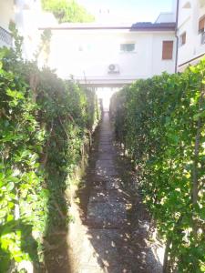 Apartment in Rosolina Mare 25013