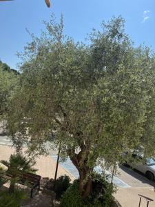 Appartements 14484 deux pieces elegant et central : photos des chambres