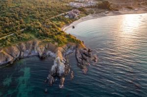 Sand Lillies Sunny Relax