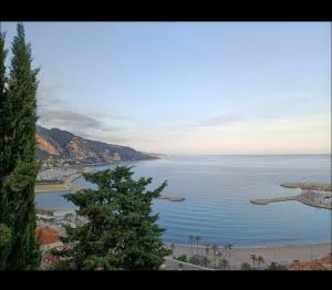 Appartements studio dans villa classee avec piscine : photos des chambres