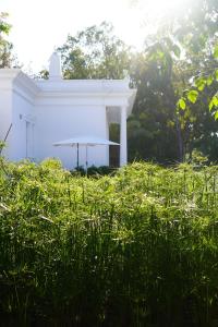 Casa Rã - Architect Edition