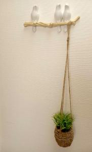 Hotels Les copains d-amour : photos des chambres