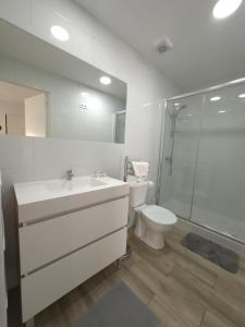 Antero de Quental Studios 2