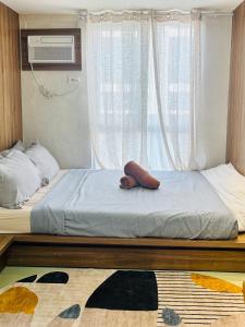 Light, Fuzzy and Cozy studio in Iloilo City