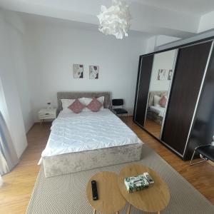 Garsoniera Spital Fundeni-Dragonul Rosu