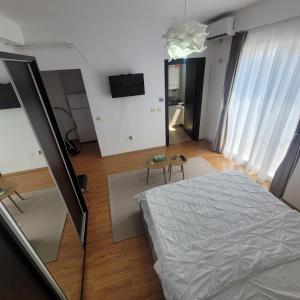 Garsoniera Spital Fundeni-Dragonul Rosu