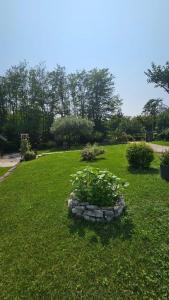 Agriturismo dei Laghetti