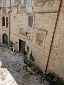 La Fenice - Splendore