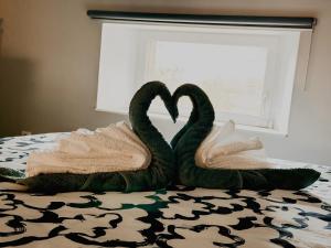 Appartements Domaine LE PRESSOIR - clim, wi-fi & parking : photos des chambres