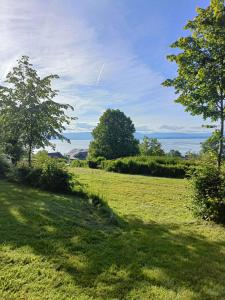 Campings Camping le Rys - Mobil-home : photos des chambres